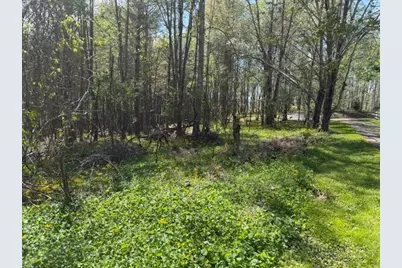 Tbd (1 Acre) Crestview Drive West, Creston, NC 28615 - Photo 13