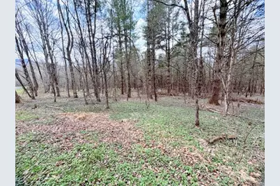 Tbd (1 Acre) Crestview Drive West, Creston, NC 28615 - Photo 11