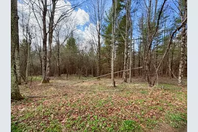 Tbd (1 Acre) Crestview Drive West, Creston, NC 28615 - Photo 7
