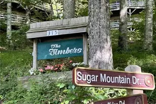 315 Timber Ridge Rd, Sugar Mountain, NC 28604 - Photo 23