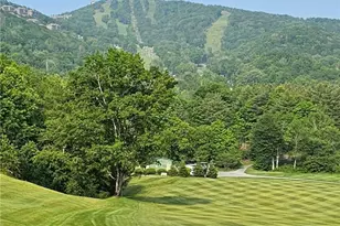 103 Sugar Ski Dr, Sugar Mountain, NC 28604 - Photo 7