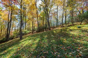 1584 Hattie Hill Rd, Vilas, NC 28692 - Photo 37