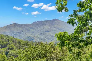 200 Longview Dr, Blowing Rock, NC 28605 - Photo 5