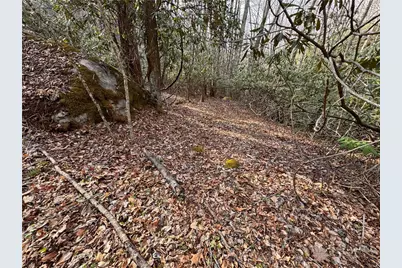 2438 Kellersville Road, Banner Elk, NC 28604 - Photo 37