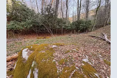 2438 Kellersville Road, Banner Elk, NC 28604 - Photo 29