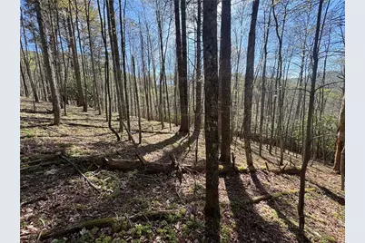 2438 Kellersville Road, Banner Elk, NC 28604 - Photo 11
