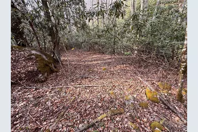 2438 Kellersville Road, Banner Elk, NC 28604 - Photo 37