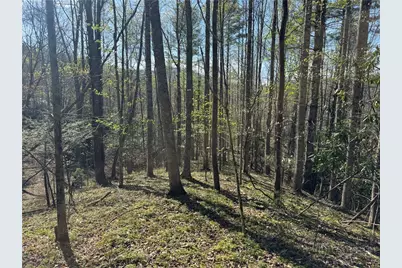 2438 Kellersville Road, Banner Elk, NC 28604 - Photo 1