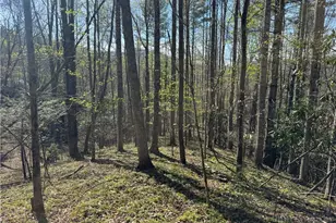 2438 Kellersville Rd, Banner Elk, NC 28604 - Photo 1