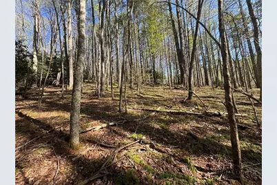 2438 Kellersville Road, Banner Elk, NC 28604 - Photo 13