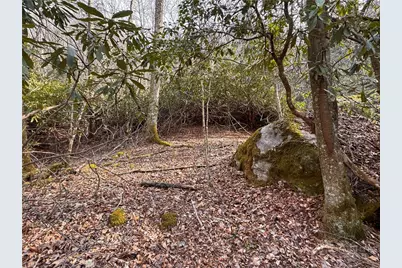 2438 Kellersville Road, Banner Elk, NC 28604 - Photo 39