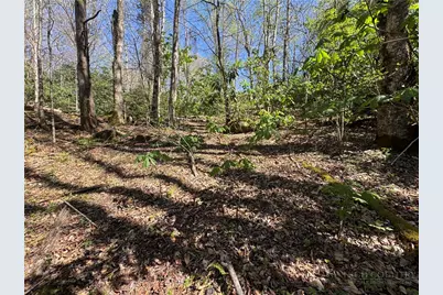 2438 Kellersville Road, Banner Elk, NC 28604 - Photo 23