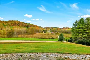886 Jefferson Hwy, Mouth of Wilson, VA 24363 - Photo 35