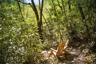 1236 Ninebark Rd, Boone, NC 28607 - Photo 45