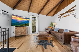 228 Birchwood Ln, Beech Mountain, NC 28604 - Photo 9
