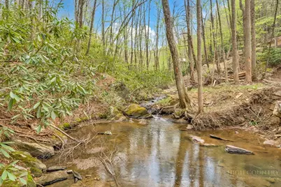 799 Milton Brown Heirs Road, Boone, NC 28607 - Photo 45
