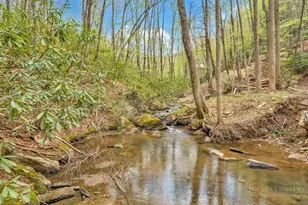 799 Milton Brown Heirs Rd, Boone, NC 28607 - Photo 45