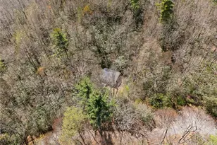8977 Rose Hollow Ave, Newland, NC 28657 - Photo 21