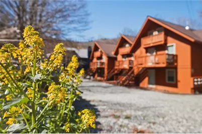 102 Skiview Lane #1, Beech Mountain, NC 28604 - Photo 21