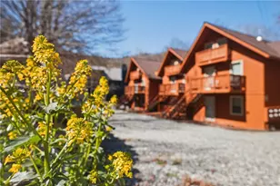 102 Skiview Ln, Beech Mountain, NC 28604 - Photo 21