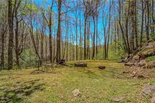 426 Cook Town Rd, Bakersville, NC 28705 - Photo 43
