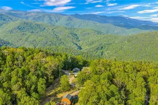 1600 Timber Ridge Rd, Millers Creek, NC 28651 - Photo 5