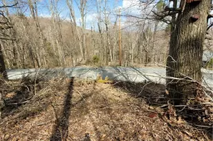 134-136 Wild Daisy Ln, Beech Mountain, NC 28604 - Photo 1