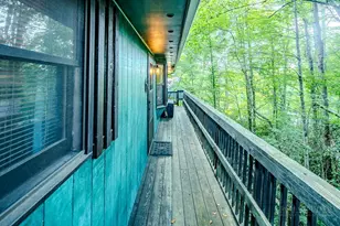 190 Spruce Pine Rd, Newland, NC 28657 - Photo 9