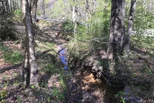 2230 Old Hwy 16 Hwy, Jefferson, NC 28640 - Photo 25