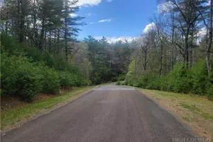 Tbd Pine Chase, Glade Valley, NC 28627 - Photo 1