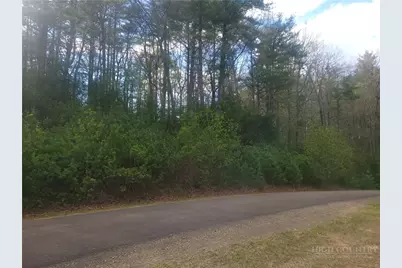 Tbd Pine Chase, Glade Valley, NC 28627 - Photo 5