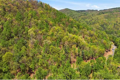 Lot 50 Wildcat Wilderness Reserve Parkway, Deep Gap, NC 28618 - Photo 9