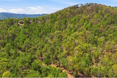 Lot 50 Wildcat Wilderness Reserve Parkway, Deep Gap, NC 28618 - Photo 11