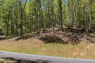 Lot 50 Wildcat Wilderness Reserve Pkwy, Deep Gap, NC 28618 - Photo 1