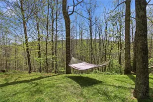 173 Goat Hill Rd, Todd, NC 28684 - Photo 9