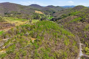 173 Goat Hill Rd, Todd, NC 28684 - Photo 19