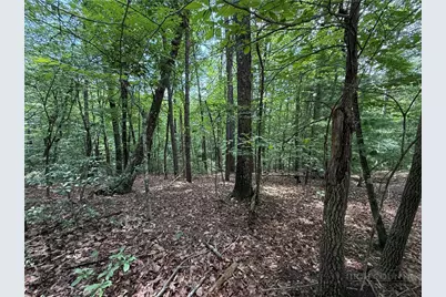 Lot 139 Pine Burr Drive, Purlear, NC 28665 - Photo 5