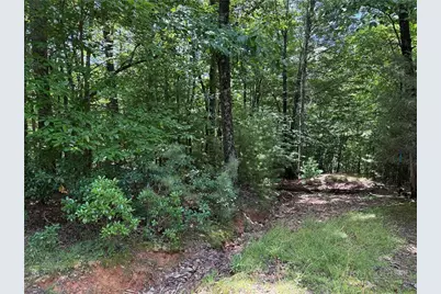 Lot 139 Pine Burr Drive, Purlear, NC 28665 - Photo 13