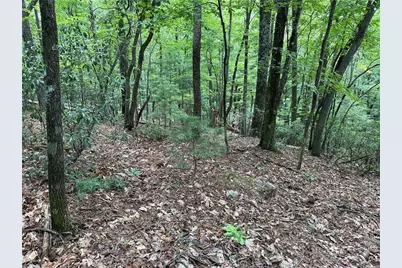 Lot 139 Pine Burr Drive, Purlear, NC 28665 - Photo 7