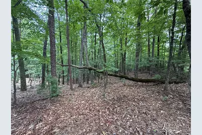 Lot 139 Pine Burr Drive, Purlear, NC 28665 - Photo 9