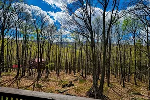 125 Lower Grouse Ridge Rd, Beech Mountain, NC 28604 - Photo 21