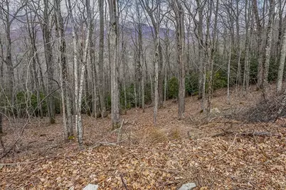 Tbd Lot #46 Woodlily Drive, Banner Elk, NC 28604 - Photo 7