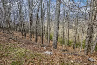 Tbd Lot #46 Woodlily Drive, Banner Elk, NC 28604 - Photo 5