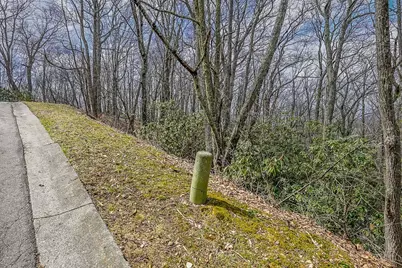 Tbd Lot #46 Woodlily Drive, Banner Elk, NC 28604 - Photo 11