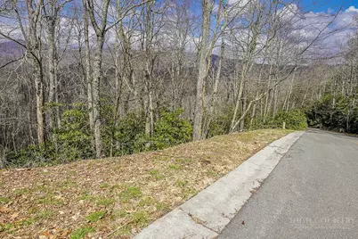 Tbd Lot #46 Woodlily Drive, Banner Elk, NC 28604 - Photo 9