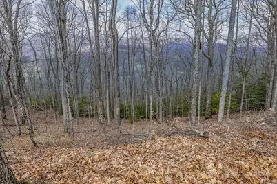 Tbd Lot #46 Woodlily Drive, Banner Elk, NC 28604 - Photo 3