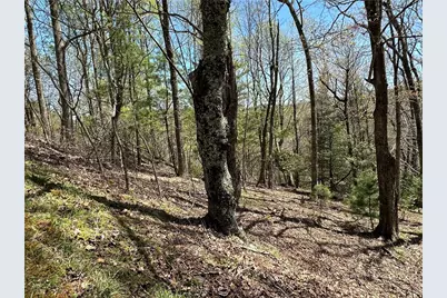 Lot 5 Churchill Downs, Boone, NC 28607 - Photo 27