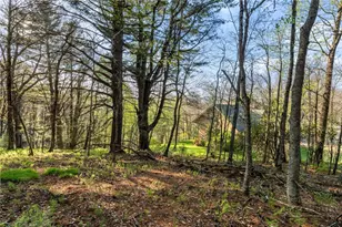 222 Sorrento Dr, Blowing Rock, NC 28605 - Photo 43