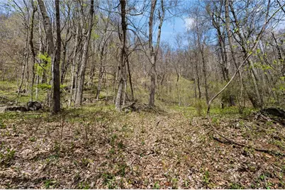 Tbd Rocky Mountain Road, Boone, NC 28607 - Photo 17