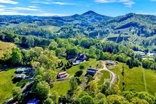 374 Bower Ln, Jefferson, NC 28640 - Photo 47